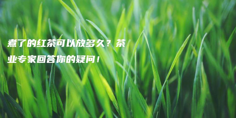 煮了的红茶可以放多久？茶业专家回答你的疑问！插图