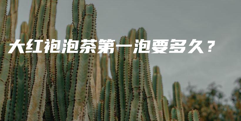 大红袍泡茶第一泡要多久？插图