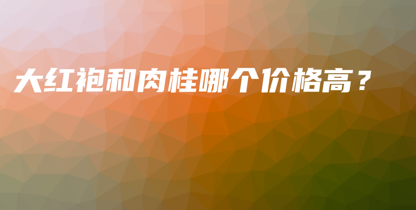 大红袍和肉桂哪个价格高？插图