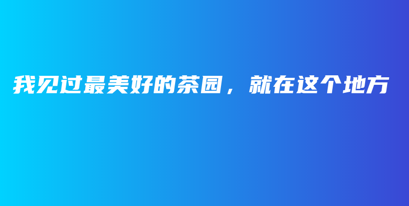 我见过最美好的茶园，就在这个地方插图