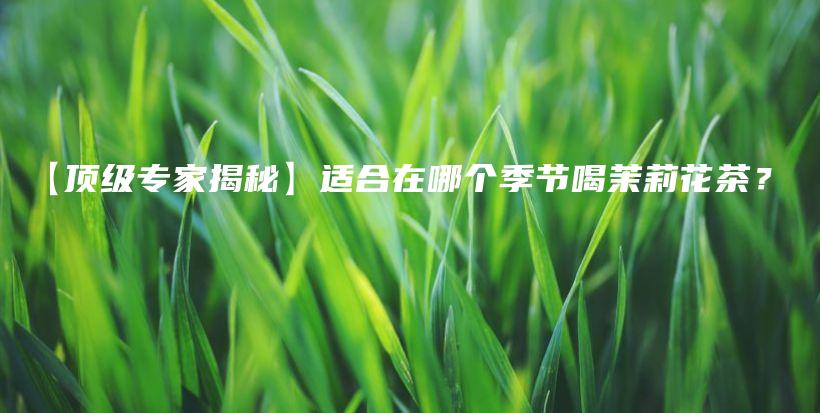 【顶级专家揭秘】适合在哪个季节喝茉莉花茶？插图