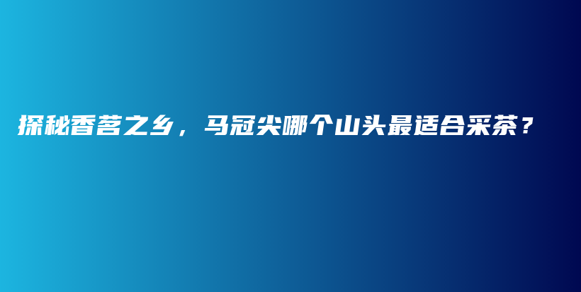 探秘香茗之乡，马冠尖哪个山头最适合采茶？插图