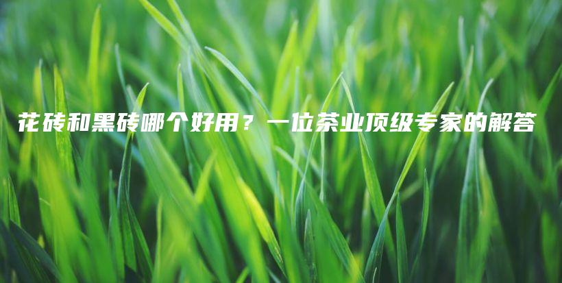 花砖和黑砖哪个好用？一位茶业顶级专家的解答插图