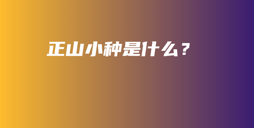 正山小种是什么？插图