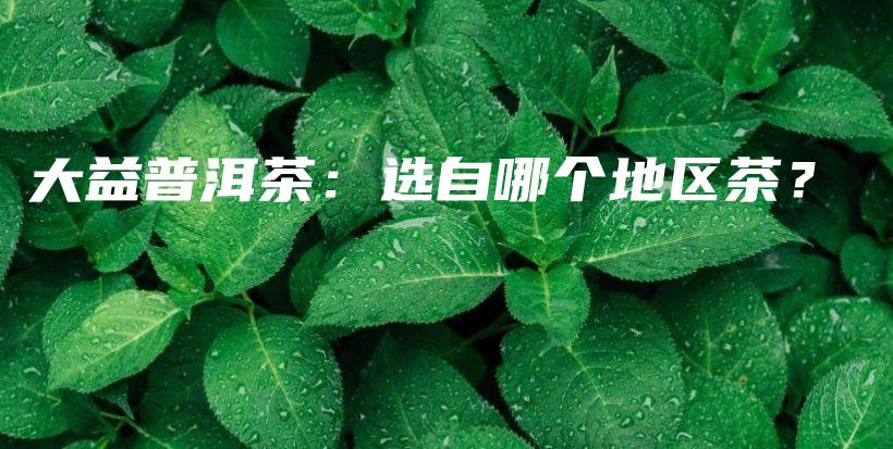 大益普洱茶：选自哪个地区茶？插图