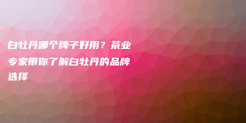 白牡丹哪个牌子好用？茶业专家带你了解白牡丹的品牌选择插图