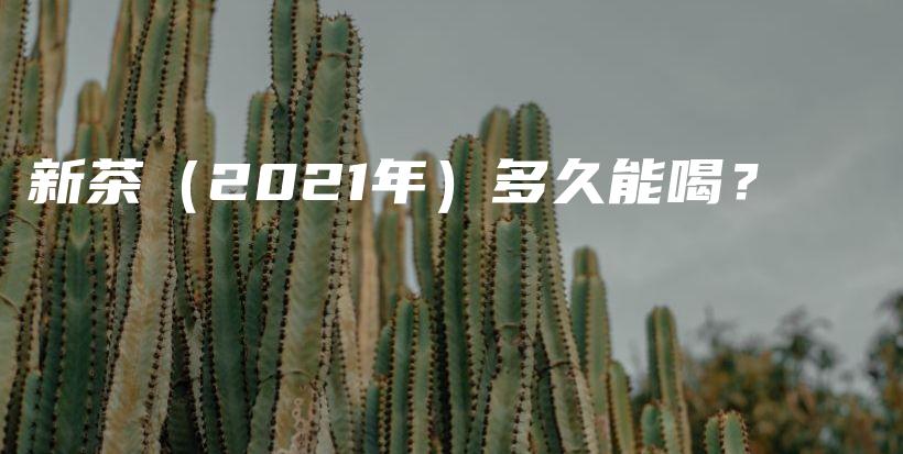 新茶（2021年）多久能喝？插图