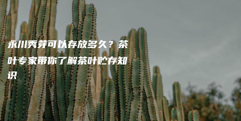 永川秀芽可以存放多久？茶叶专家带你了解茶叶贮存知识插图