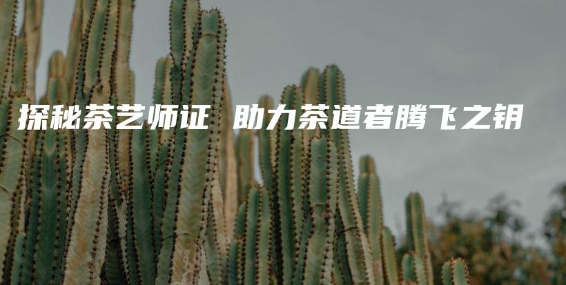 探秘茶艺师证 助力茶道者腾飞之钥插图