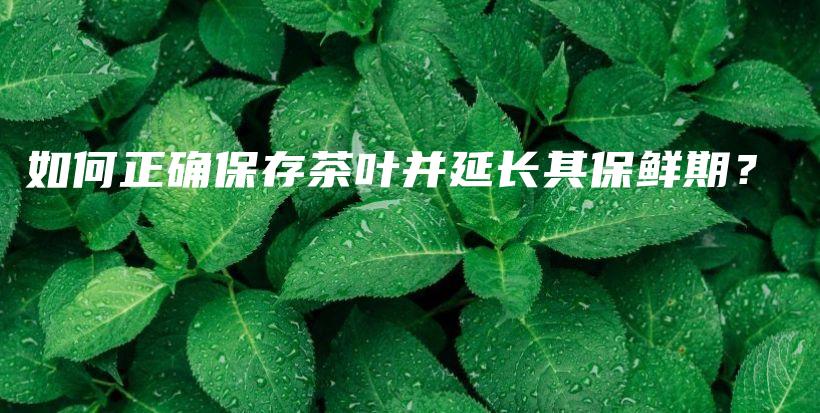 如何正确保存茶叶并延长其保鲜期？插图