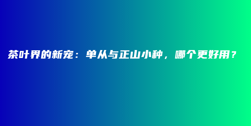 茶叶界的新宠：单从与正山小种，哪个更好用？插图