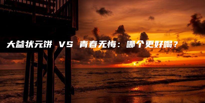 大益状元饼 VS 青春无悔：哪个更好喝？插图