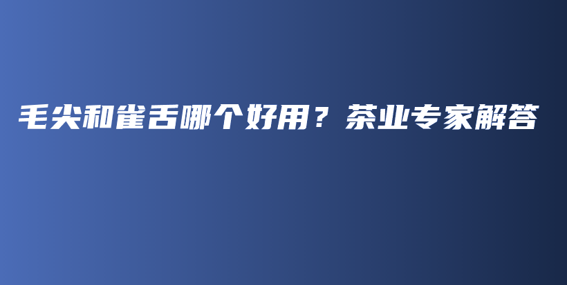 毛尖和雀舌哪个好用？茶业专家解答插图