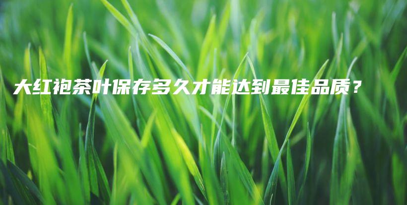 大红袍茶叶保存多久才能达到最佳品质？插图