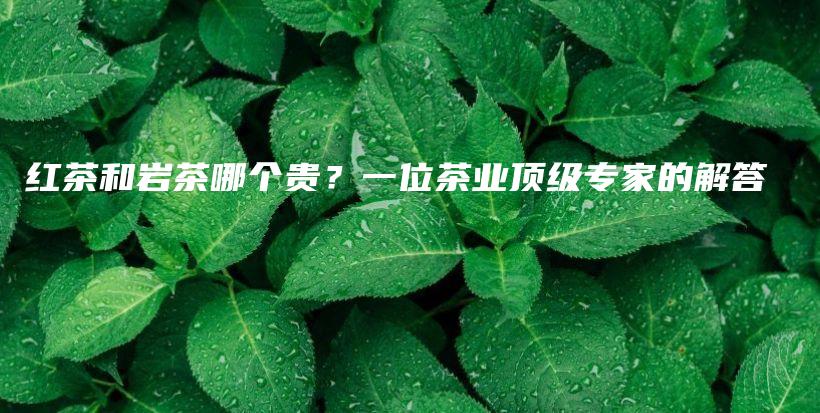 红茶和岩茶哪个贵？一位茶业顶级专家的解答插图