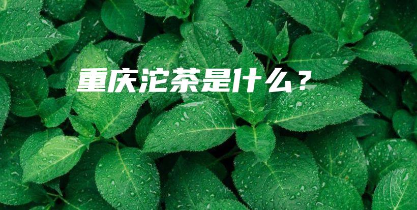 重庆沱茶是什么？插图