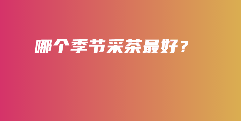 哪个季节采茶最好？插图