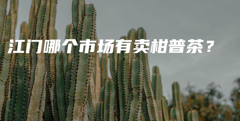 江门哪个市场有卖柑普茶？插图