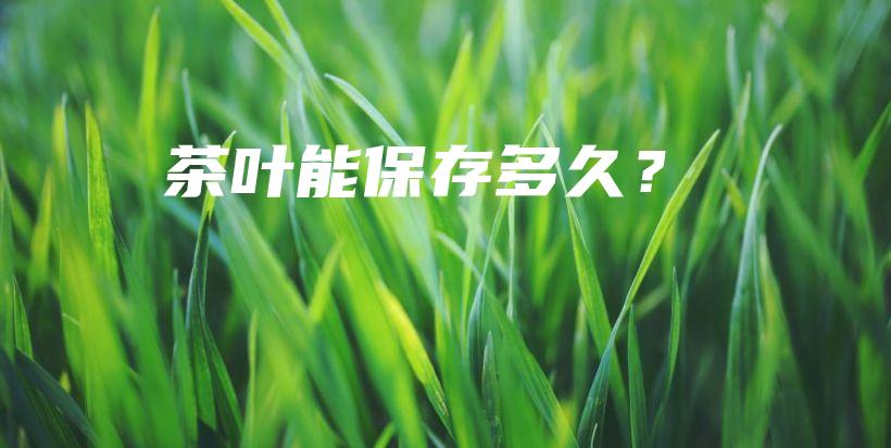 茶叶能保存多久？插图