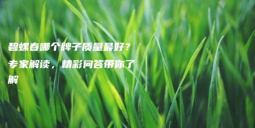 碧螺春哪个牌子质量最好？专家解读，精彩问答带你了解插图