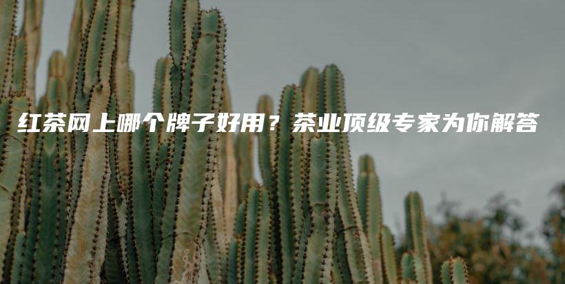 红茶网上哪个牌子好用？茶业顶级专家为你解答插图