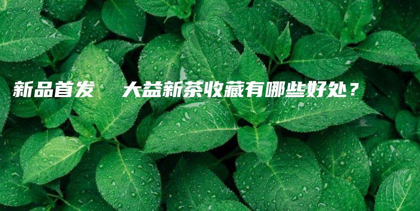 新品首发  大益新茶收藏有哪些好处？插图