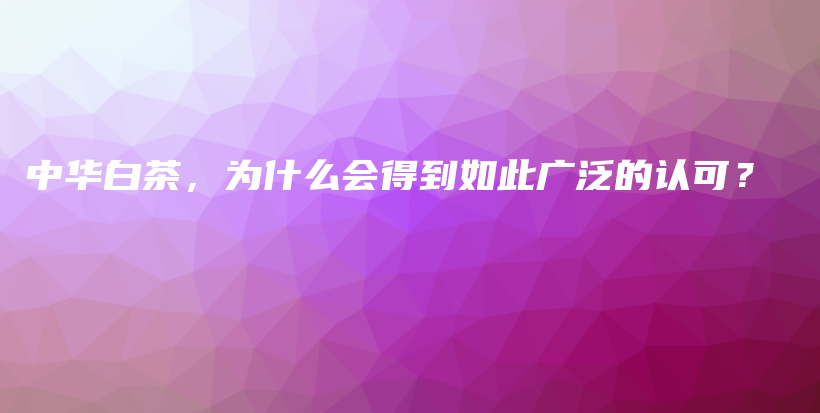 中华白茶，为什么会得到如此广泛的认可？插图