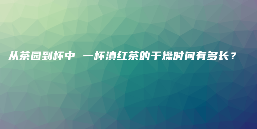 从茶园到杯中 一杯滇红茶的干燥时间有多长？插图