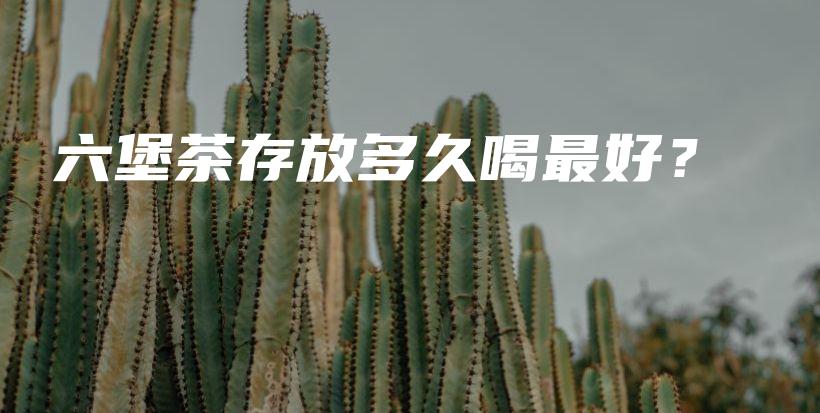 六堡茶存放多久喝最好？插图