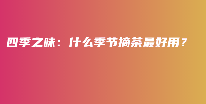 四季之味：什么季节摘茶最好用？插图