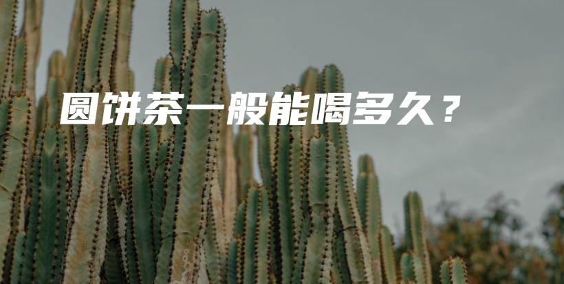 圆饼茶一般能喝多久？插图