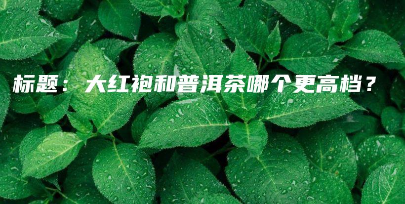 标题：大红袍和普洱茶哪个更高档？插图