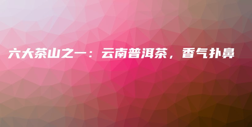 六大茶山之一：云南普洱茶，香气扑鼻插图