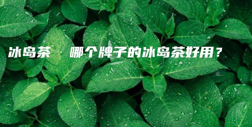 冰岛茶  哪个牌子的冰岛茶好用？插图