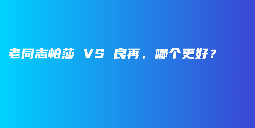 老同志帕莎 VS 良再，哪个更好？插图