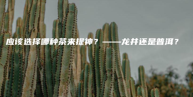 应该选择哪种茶来提神？——龙井还是普洱？插图