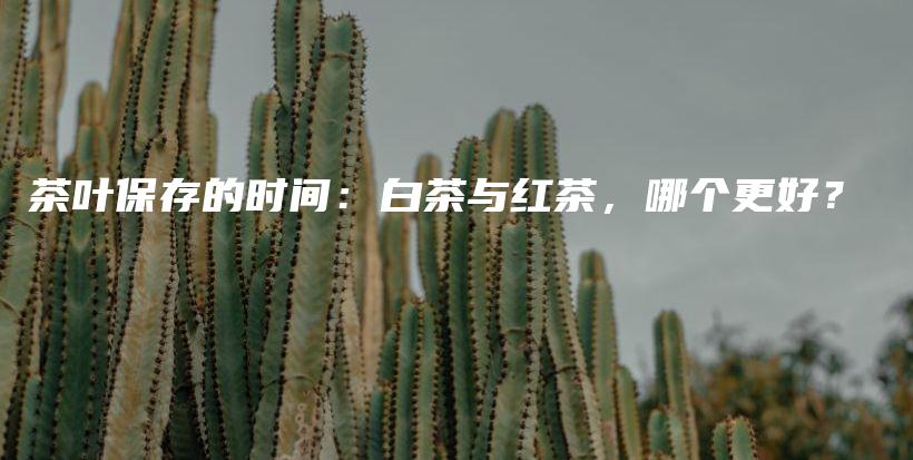 茶叶保存的时间：白茶与红茶，哪个更好？插图