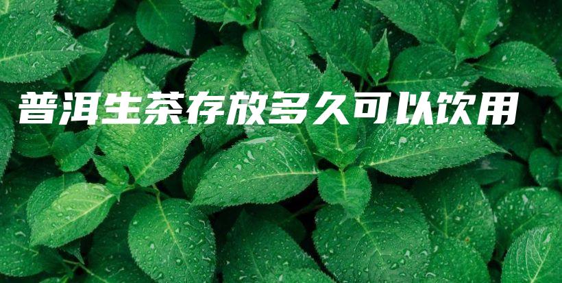 普洱生茶存放多久可以饮用插图