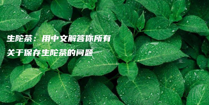 生陀茶：用中文解答你所有关于保存生陀茶的问题插图