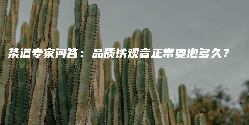 茶道专家问答：品质铁观音正常要泡多久？插图