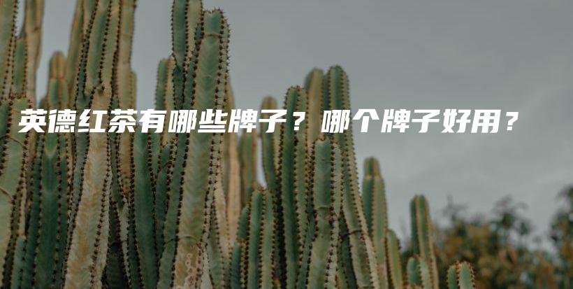 英德红茶有哪些牌子？哪个牌子好用？插图