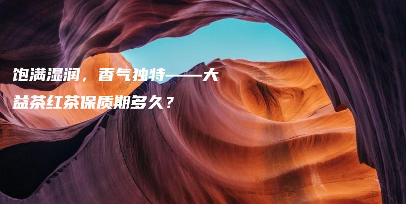 饱满湿润，香气独特——大益茶红茶保质期多久？插图