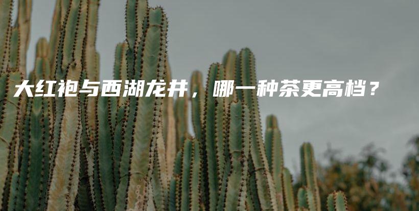 大红袍与西湖龙井，哪一种茶更高档？插图