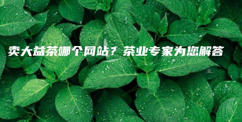 卖大益茶哪个网站？茶业专家为您解答插图