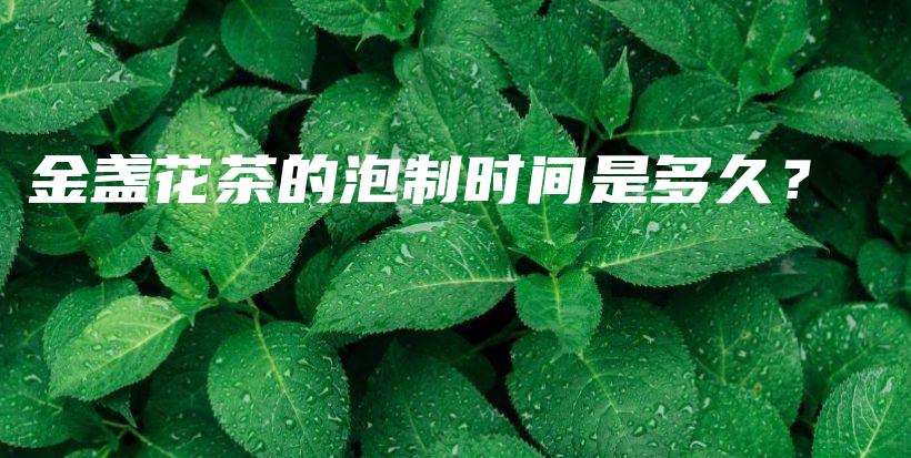 金盏花茶的泡制时间是多久？插图