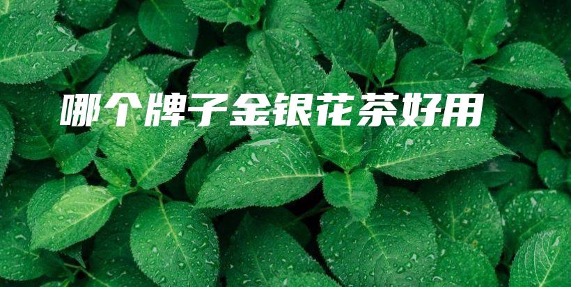 哪个牌子金银花茶好用插图