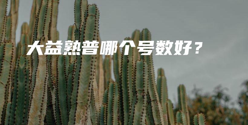 大益熟普哪个号数好？插图