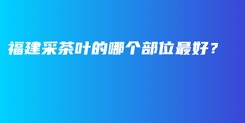 福建采茶叶的哪个部位最好？插图