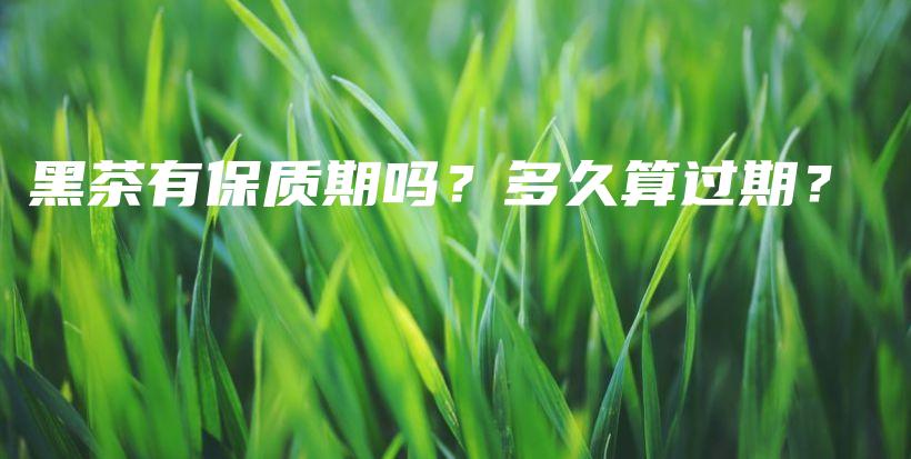 黑茶有保质期吗？多久算过期？插图