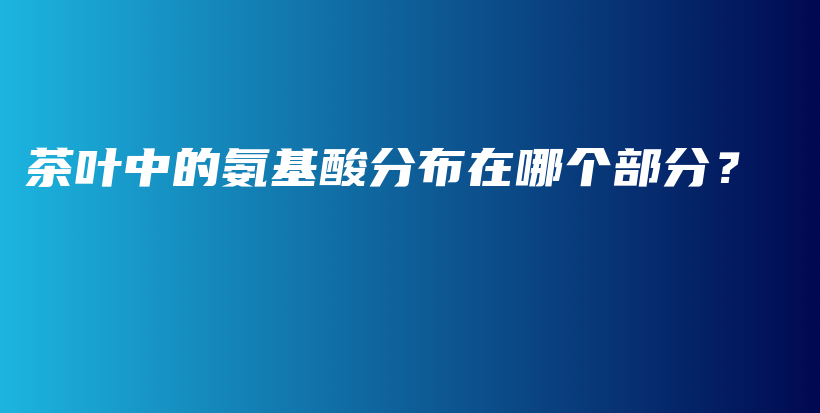 茶叶中的氨基酸分布在哪个部分？插图